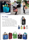 ECO NON WOVEN BAG/PP WOVEN BAG